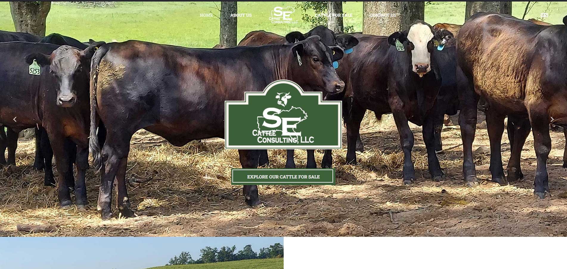 SE Cattle Consulting